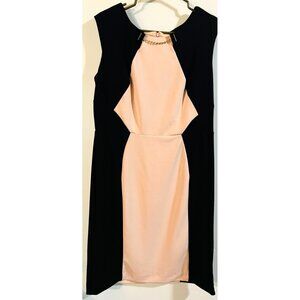Sleeveless Color Block Dress By Shelby & Palmer Size 14 Black & Pink